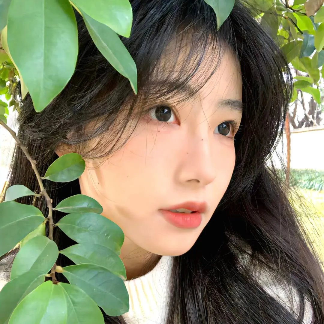依法相爱